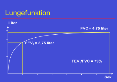 Lungefunktionsundersøgelse [Spirometri]