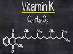 K-vitamin - Henrik Dam