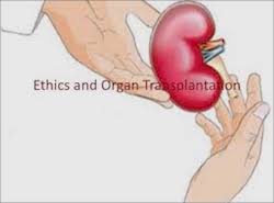 Transplantationer