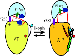heparin som antikoagulerende middel